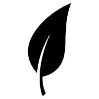 Stilisierte Abbildung eines Blattes zentriert mit transparentem Hintergrund